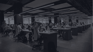 Jasa & Layanan Profesional